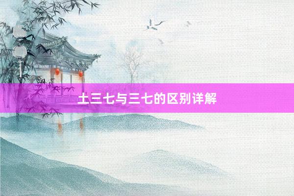 土三七与三七的区别详解