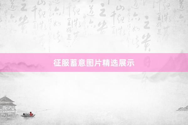 征服蓄意图片精选展示