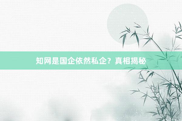 知网是国企依然私企？真相揭秘