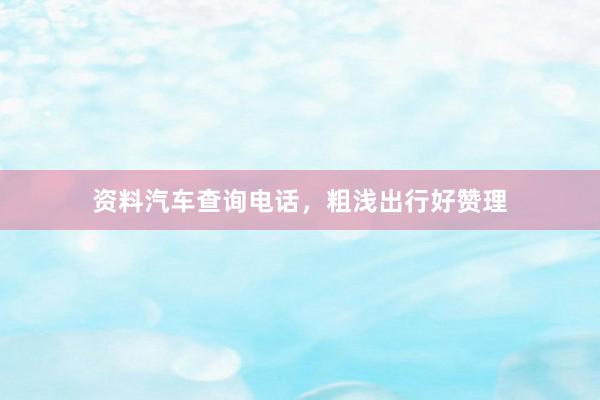 资料汽车查询电话，粗浅出行好赞理
