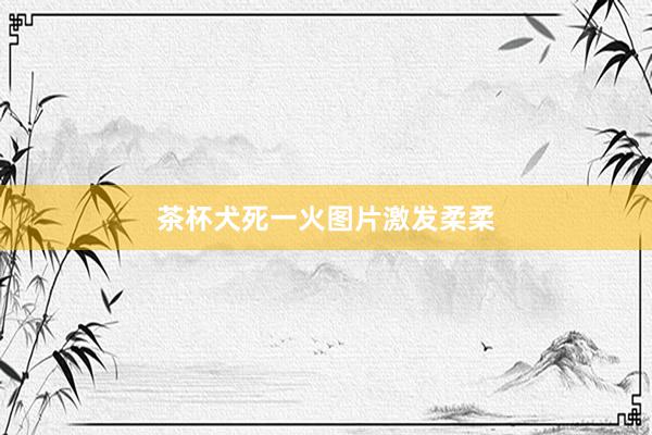 茶杯犬死一火图片激发柔柔