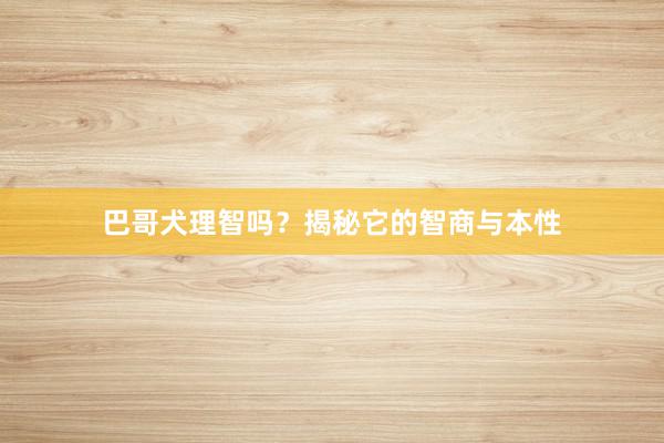 巴哥犬理智吗？揭秘它的智商与本性